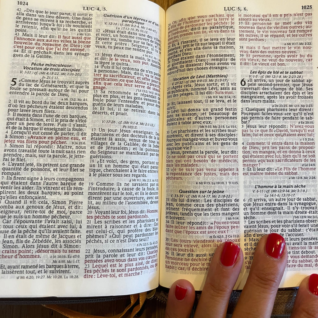 Bible Bronze pailletée