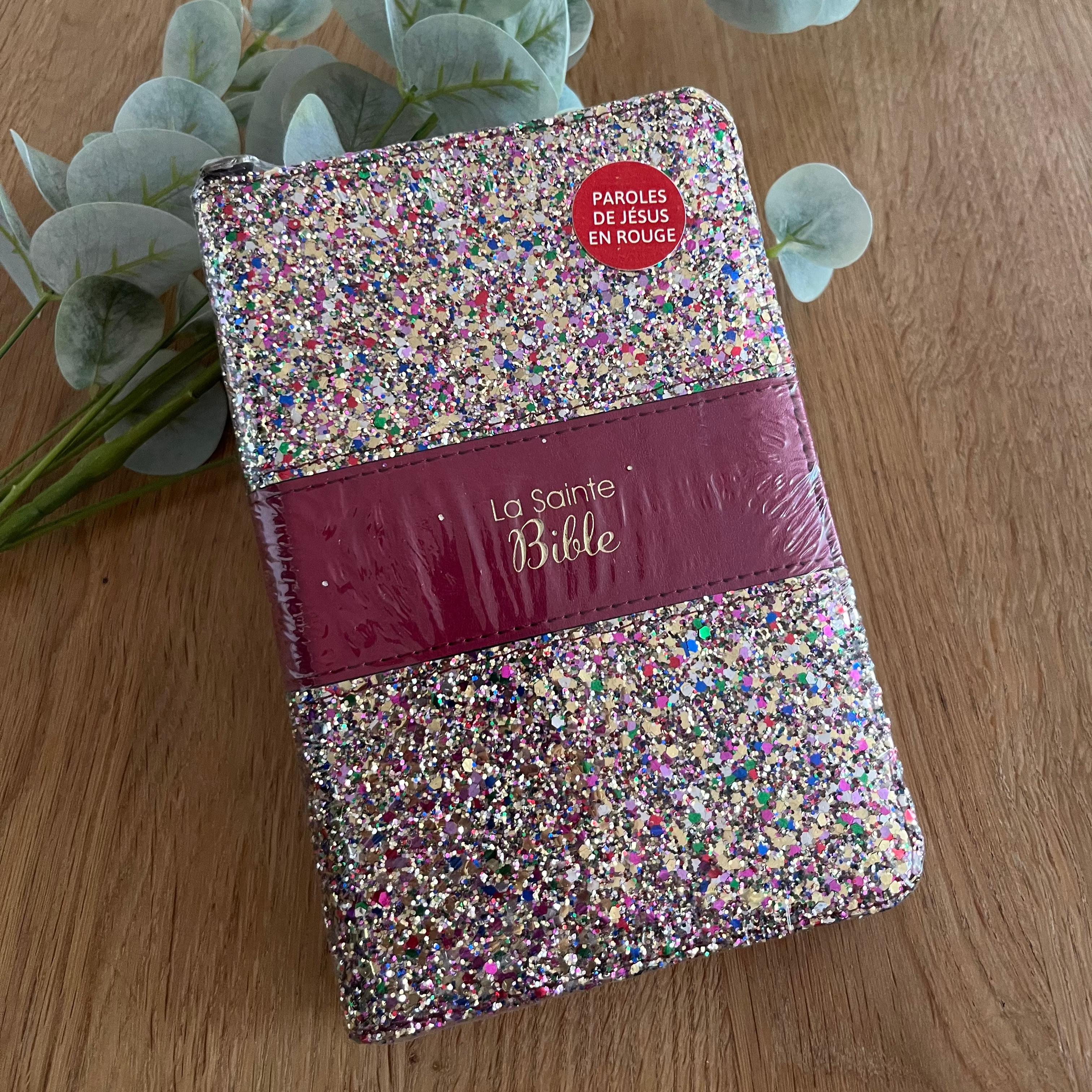 Bible Multicolore pailletée